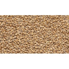 Солод пшеничный, 1 кг